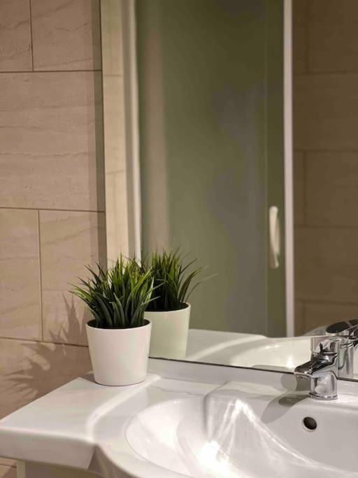 Cosy Apartment Antwerpen Center2 外观 照片
